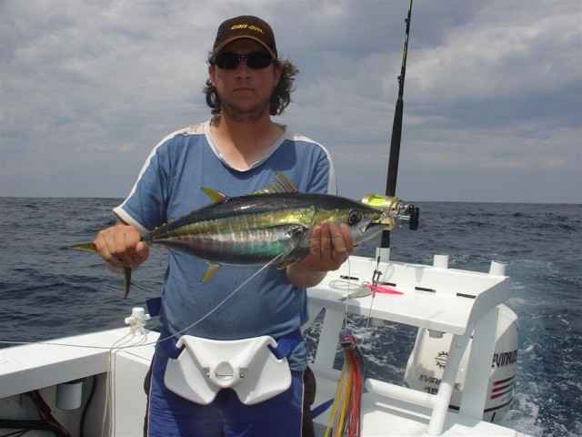 Junior Yellowfin